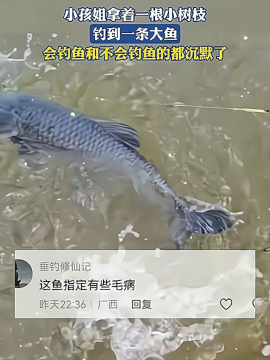 会钓鱼的和不会钓鱼的都沉默了(会钓鱼的和不会钓鱼的都沉默了,这让钓鱼佬情何以堪?)